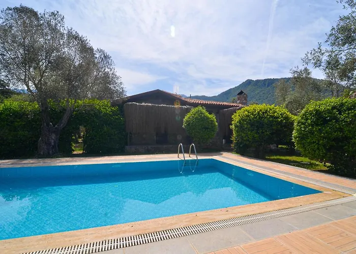 Kayi * Кайакёй