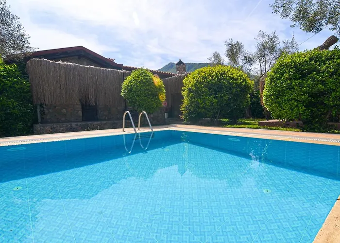 Kayi * Кайакёй