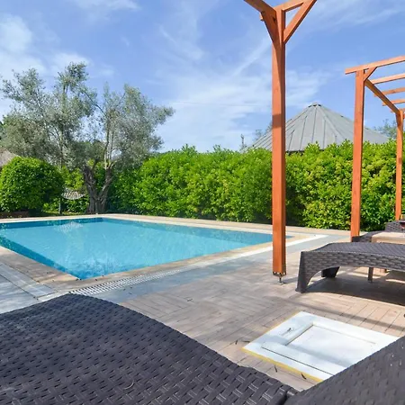 Kayi فيلة كاياكوي