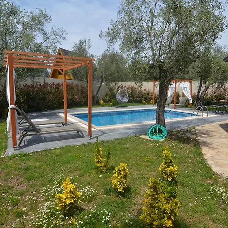 Kayi * كاياكوي