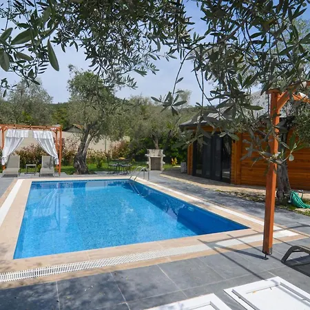 Kayi فيلة كاياكوي