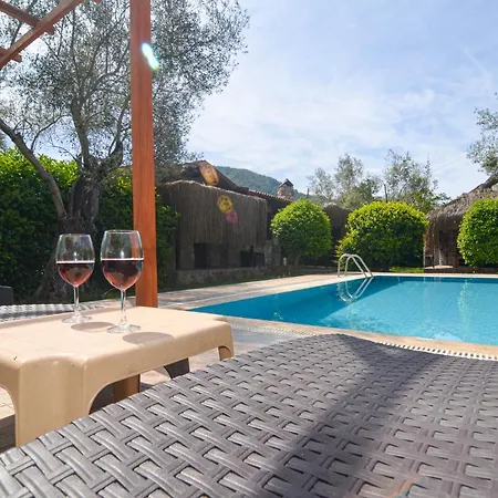 Kayi فيلة كاياكوي