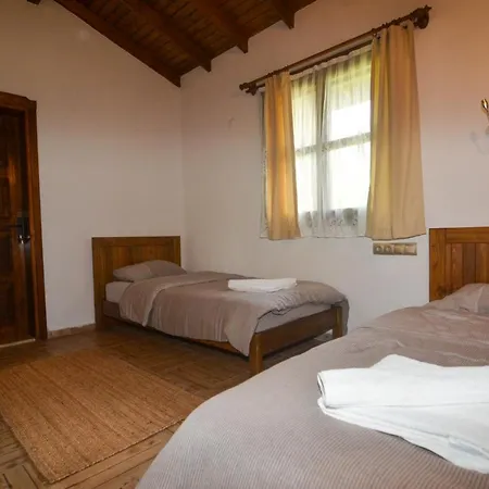 فيلة Kayi كاياكوي